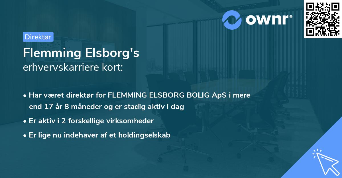 Flemming Elsborg's erhvervskarriere kort