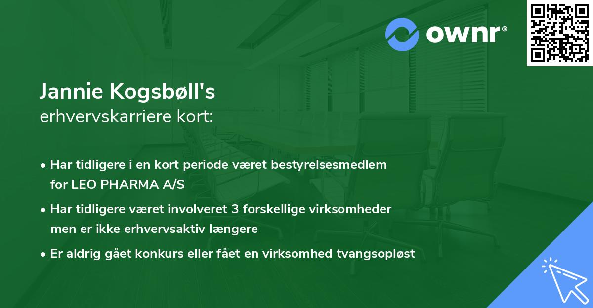 Jannie Kogsbøll's erhvervskarriere kort