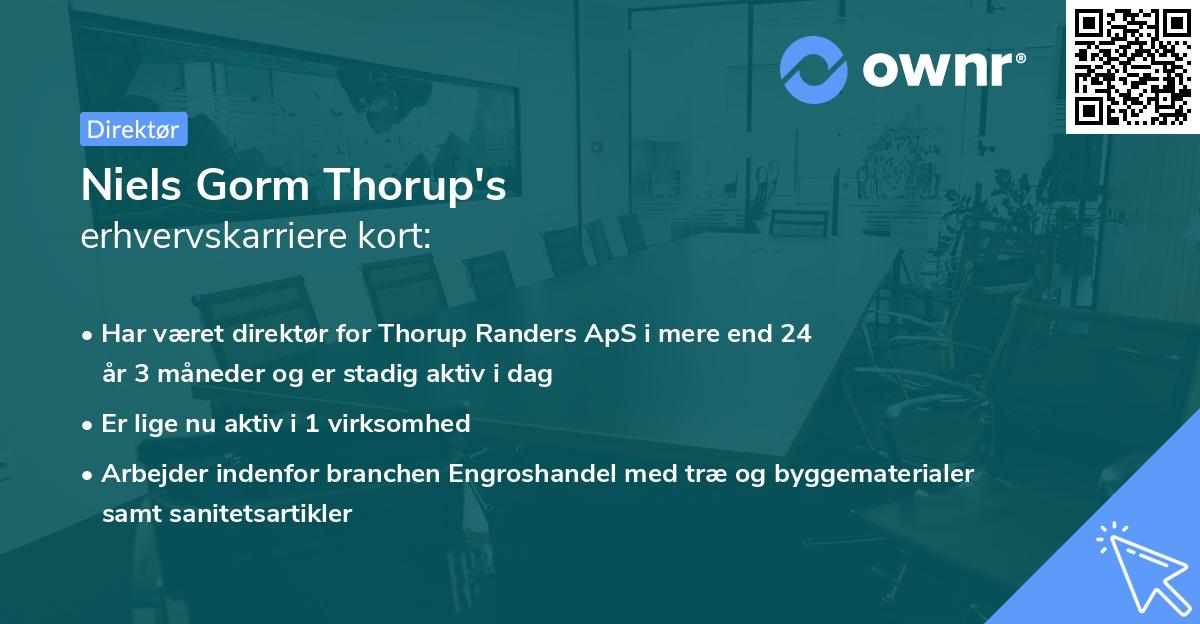 Niels Gorm Thorup's erhvervskarriere kort