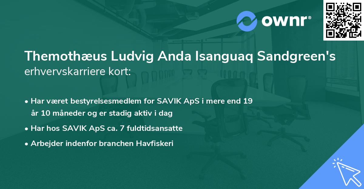 Themothæus Ludvig Anda Isanguaq Sandgreen's erhvervskarriere kort