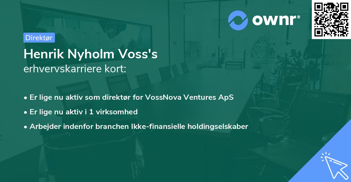 Henrik Nyholm Voss's erhvervskarriere kort