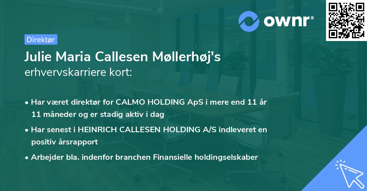 Julie Maria Callesen Møllerhøj's erhvervskarriere kort