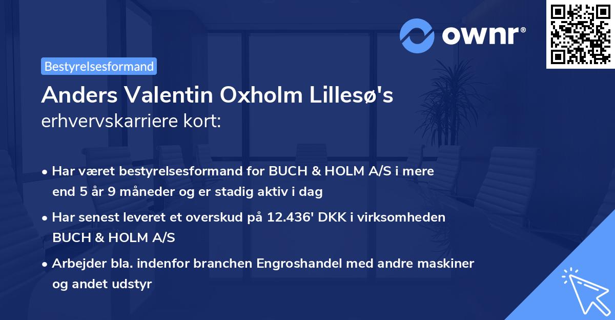 Anders Valentin Oxholm Lillesø's erhvervskarriere kort