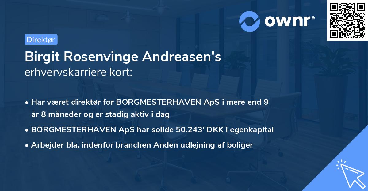 Birgit Rosenvinge Andreasen's erhvervskarriere kort