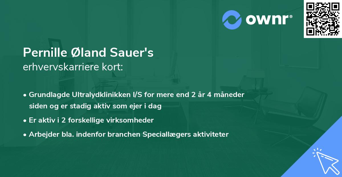 Pernille Øland Sauer's erhvervskarriere kort