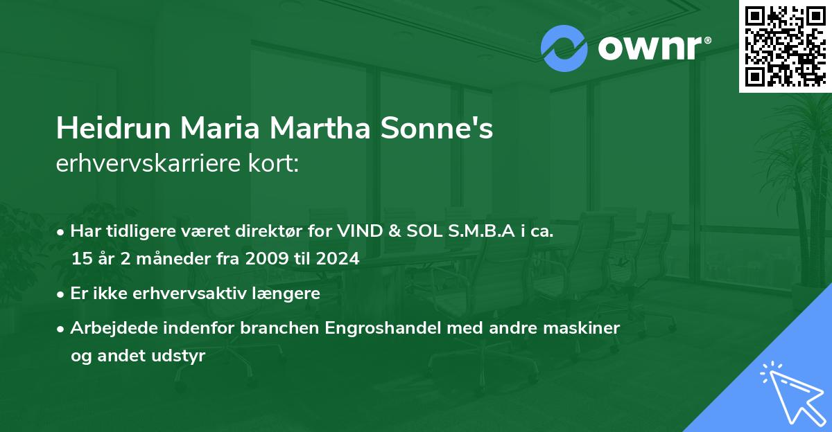 Heidrun Maria Martha Sonne's erhvervskarriere kort