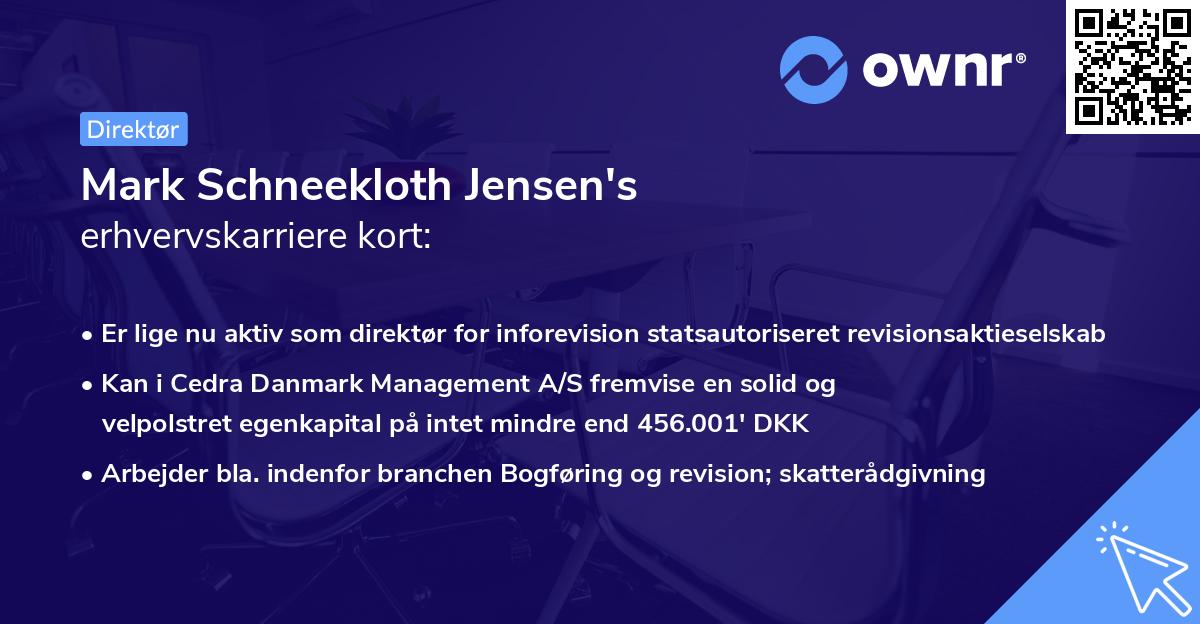 Mark Schneekloth Jensen's erhvervskarriere kort