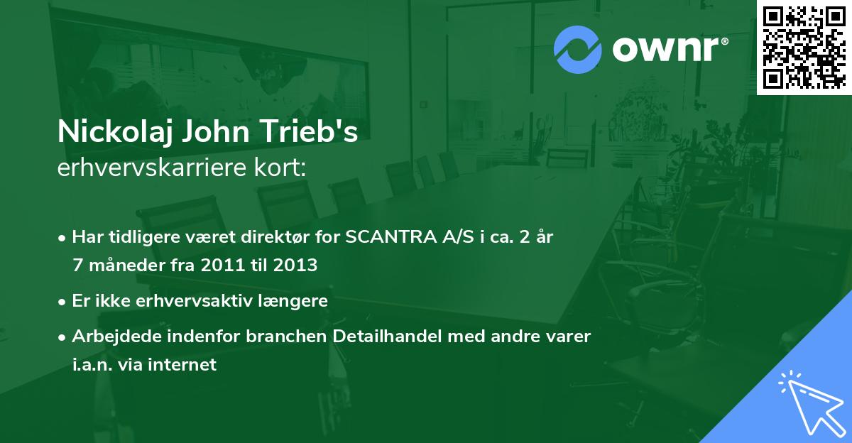Nickolaj John Trieb's erhvervskarriere kort