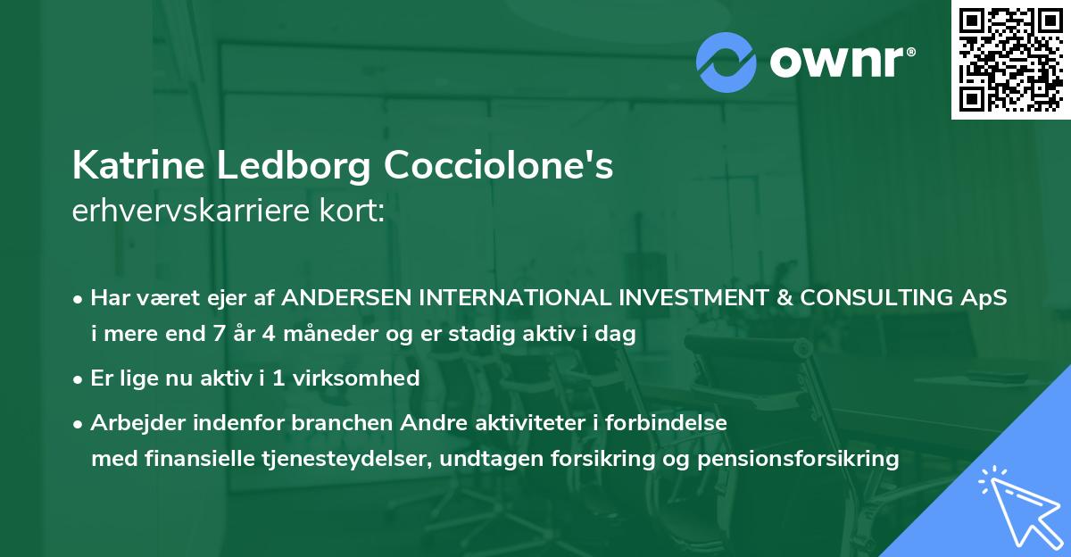Katrine Ledborg Cocciolone's erhvervskarriere kort