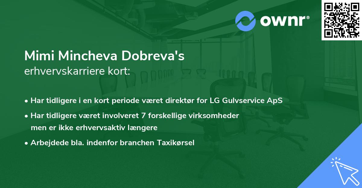 Mimi Mincheva Dobreva's erhvervskarriere kort