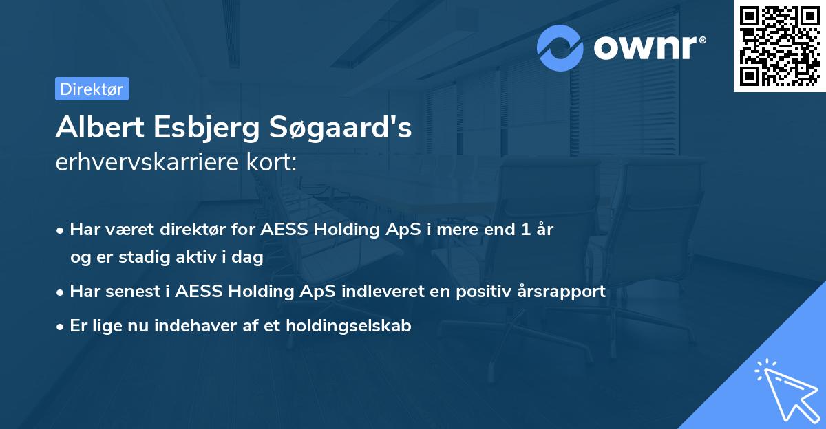 Albert Esbjerg Søgaard's erhvervskarriere kort