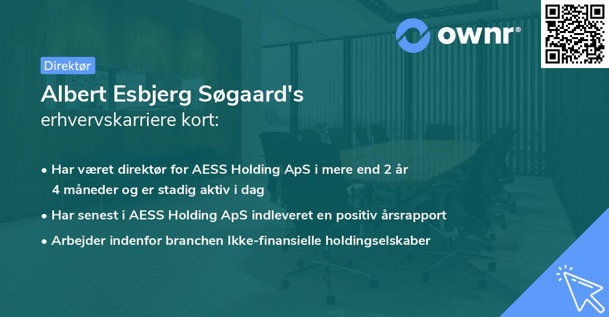 Albert Esbjerg Søgaard's erhvervskarriere kort