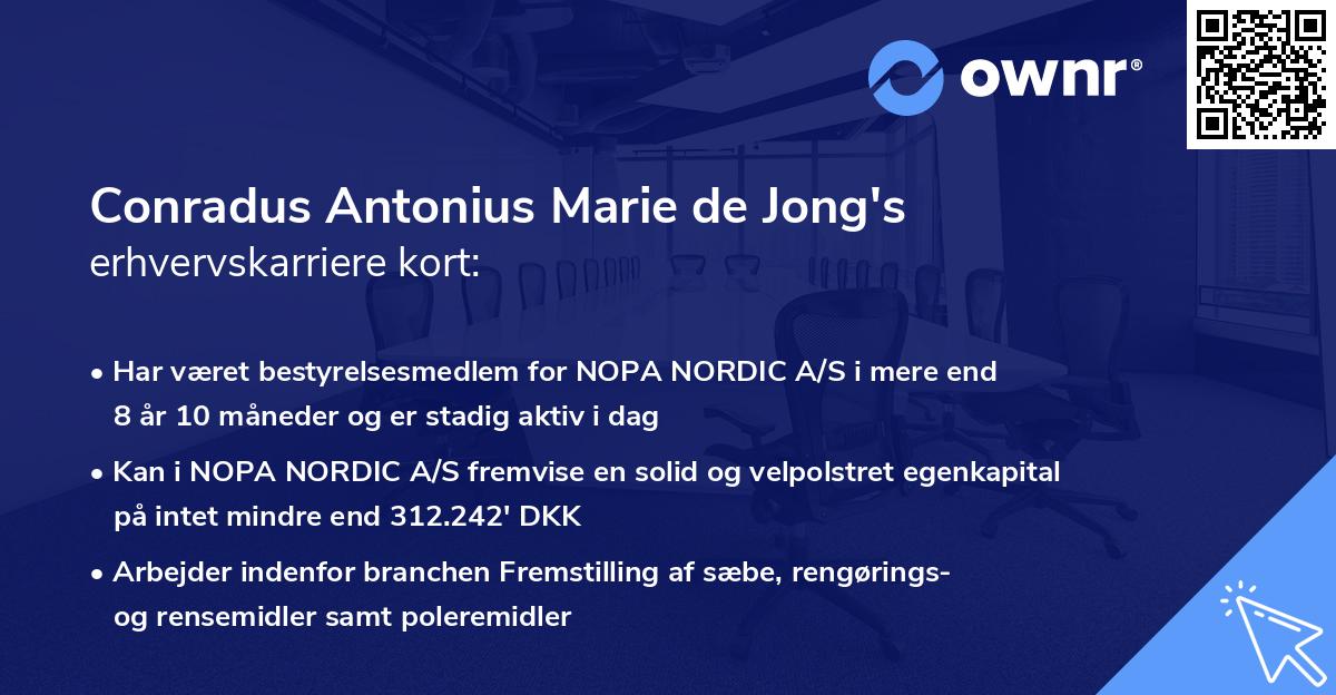 Conradus Antonius Marie de Jong's erhvervskarriere kort