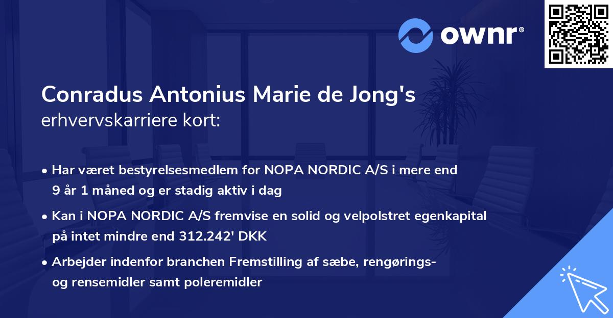 Conradus Antonius Marie de Jong's erhvervskarriere kort