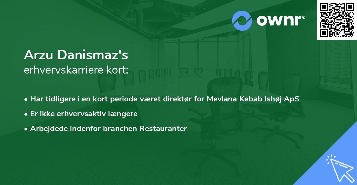 Arzu Danismaz's erhvervskarriere kort