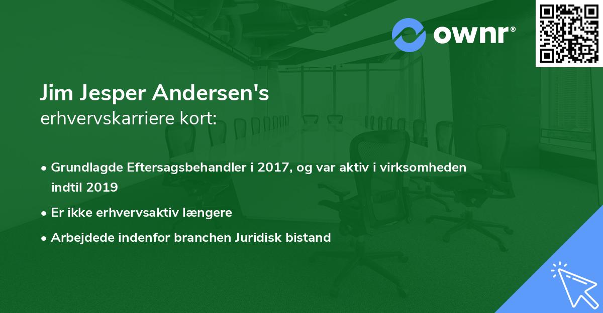 Jim Jesper Andersen's erhvervskarriere kort
