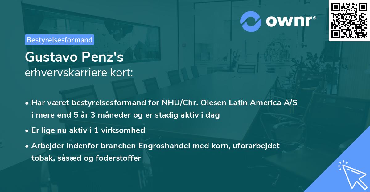 Gustavo Penz's erhvervskarriere kort