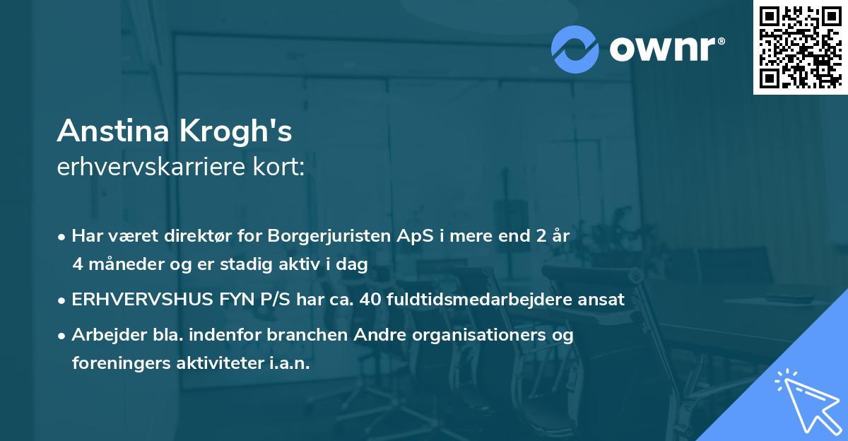 Anstina Krogh's erhvervskarriere kort