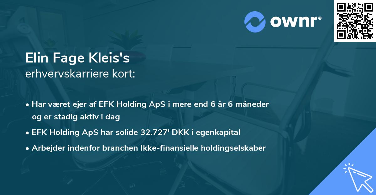 Elin Fage Kleis's erhvervskarriere kort