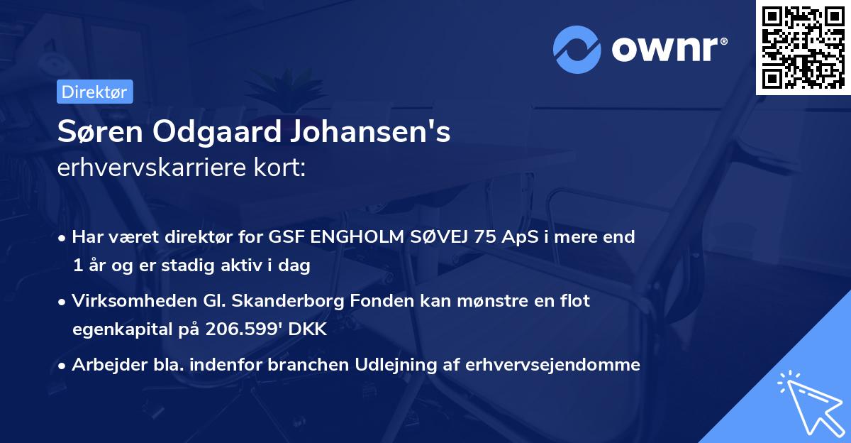 Søren Odgaard Johansen's erhvervskarriere kort