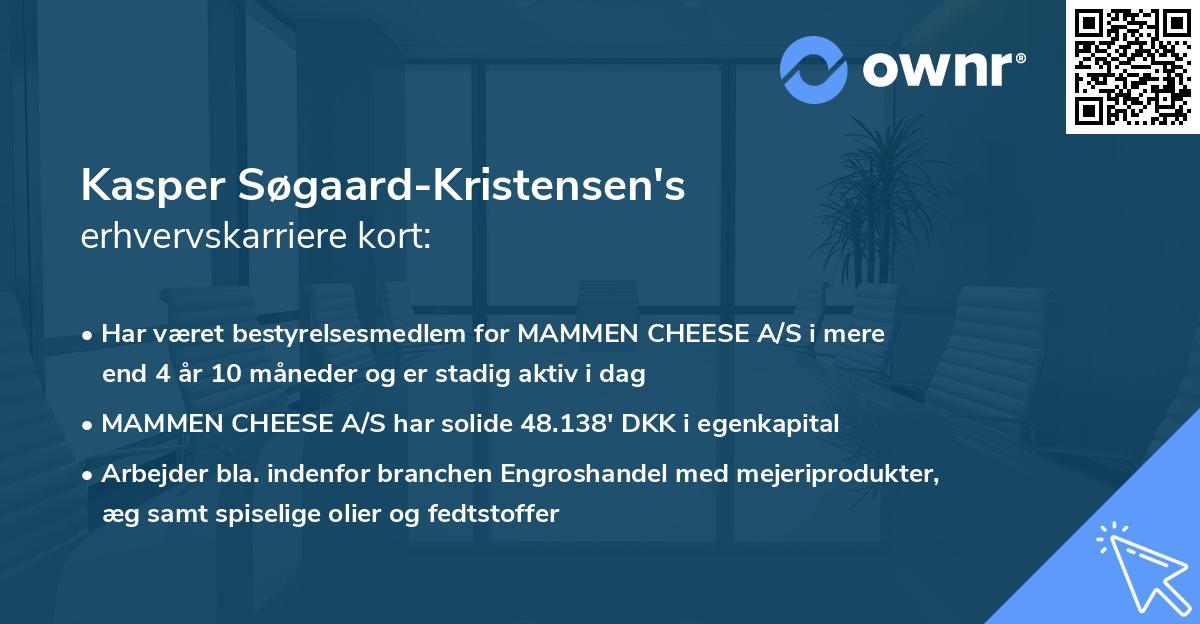 Kasper Søgaard-Kristensen's erhvervskarriere kort