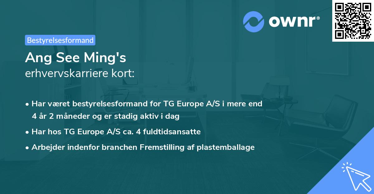 Ang See Ming's erhvervskarriere kort