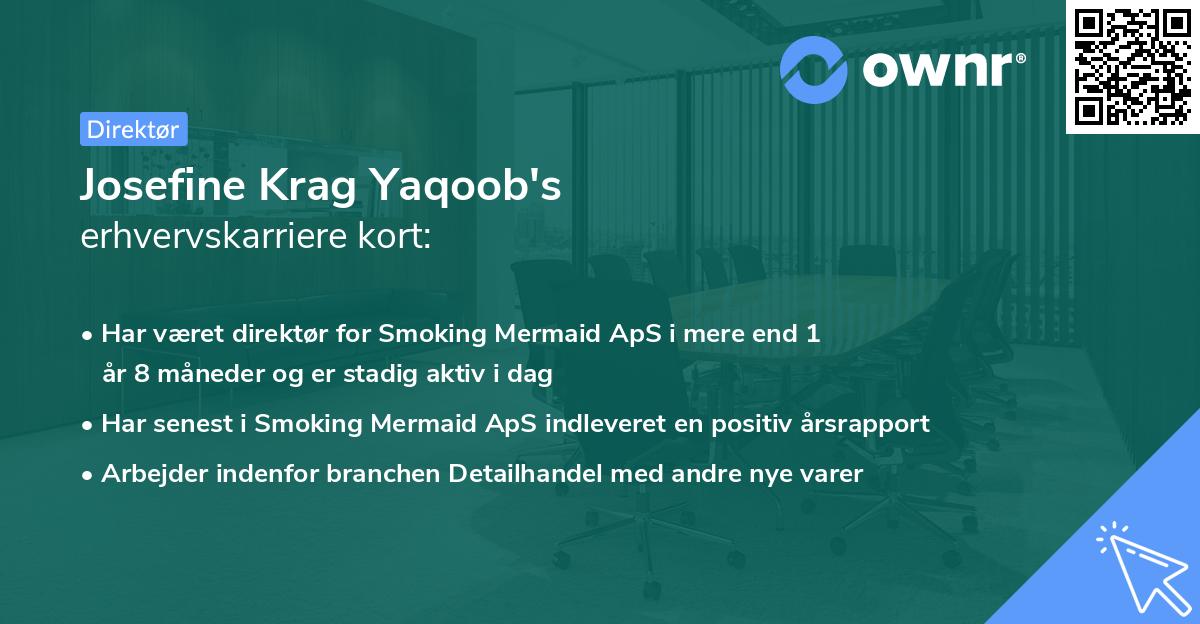 Josefine Krag Yaqoob's erhvervskarriere kort
