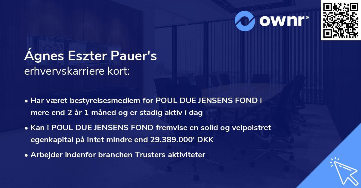 Ágnes Eszter Pauer's erhvervskarriere kort