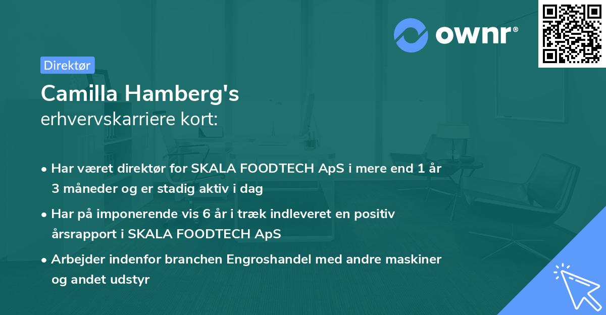 Camilla Hamberg's erhvervskarriere kort