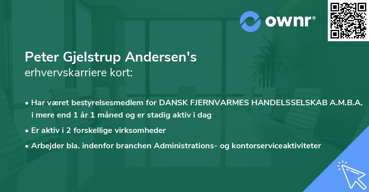 Peter Gjelstrup Andersen's erhvervskarriere kort