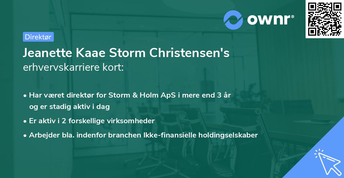Jeanette Kaae Storm Christensen's erhvervskarriere kort