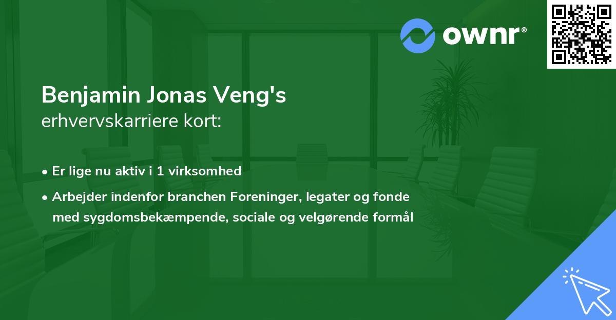 Benjamin Jonas Veng's erhvervskarriere kort