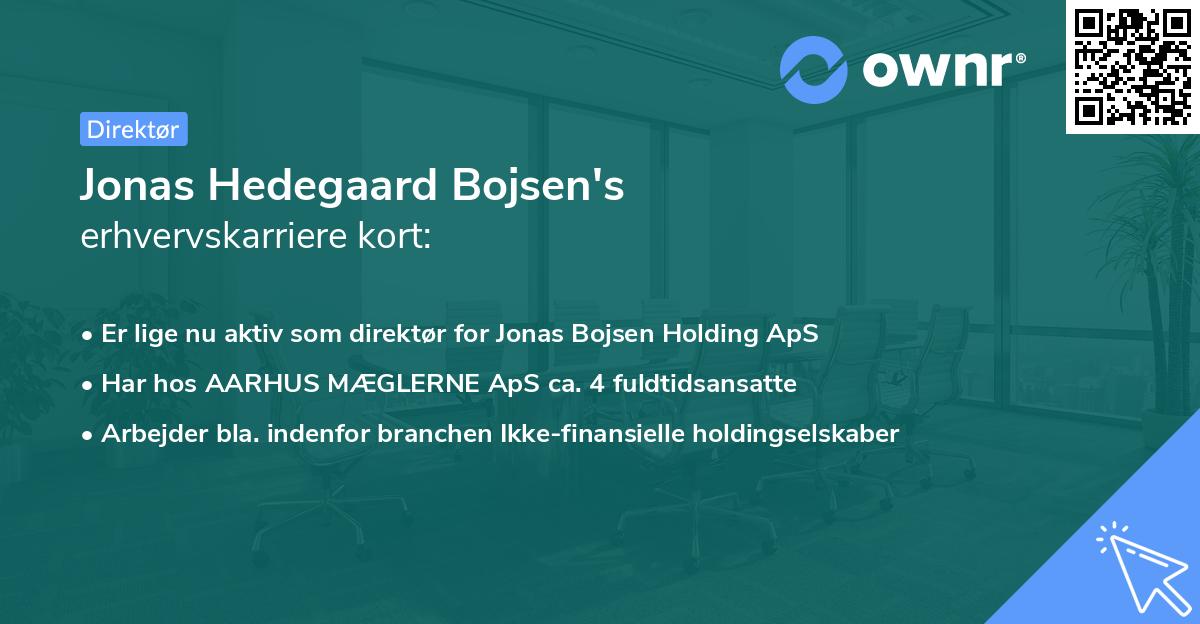Jonas Hedegaard Bojsen's erhvervskarriere kort