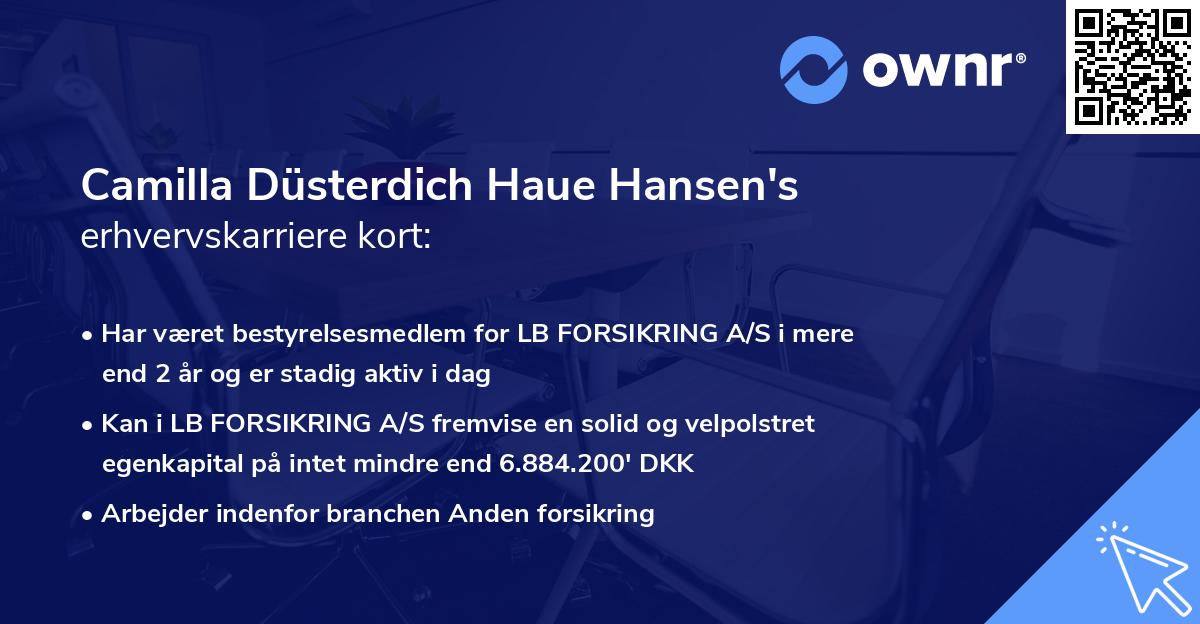 Camilla Düsterdich Haue Hansen's erhvervskarriere kort