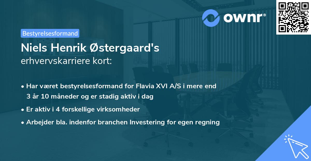 Niels Henrik Østergaard's erhvervskarriere kort