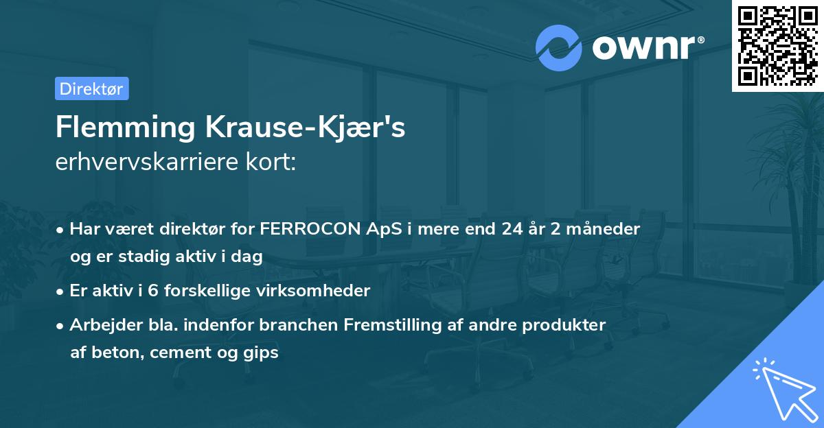 Flemming Krause-Kjær's erhvervskarriere kort