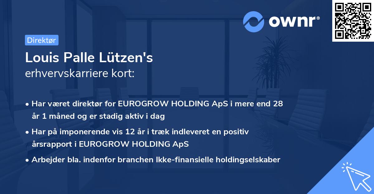 Louis Palle Lützen's erhvervskarriere kort