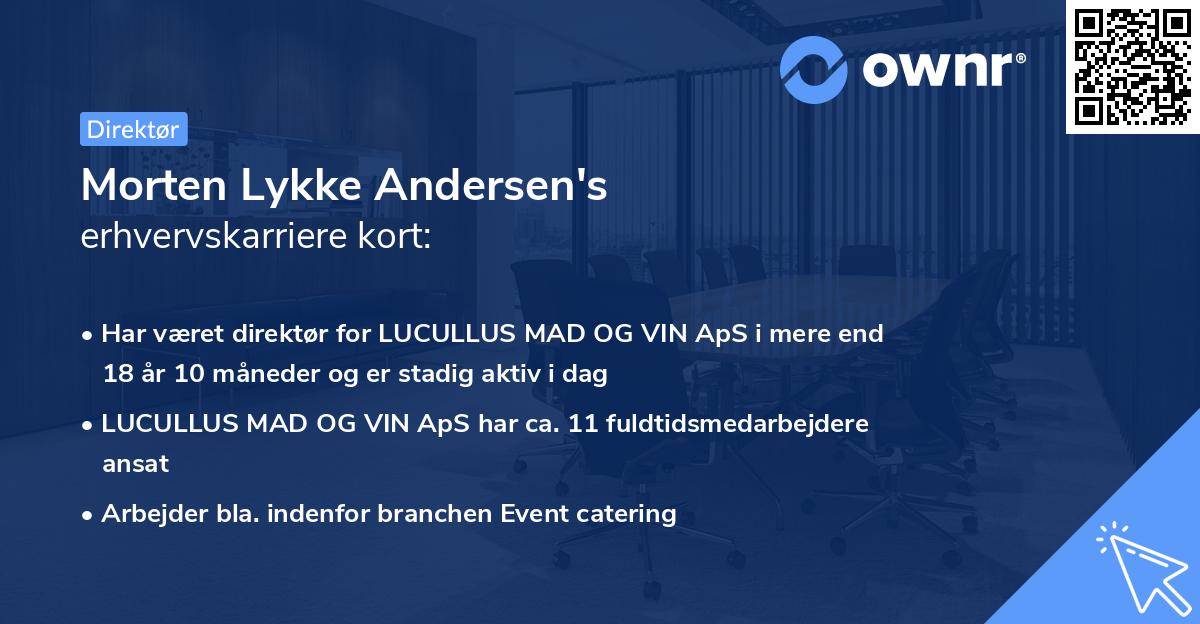 Morten Lykke Andersen's erhvervskarriere kort