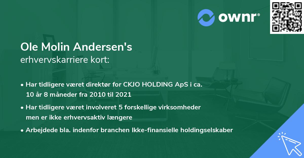 Ole Molin Andersen's erhvervskarriere kort