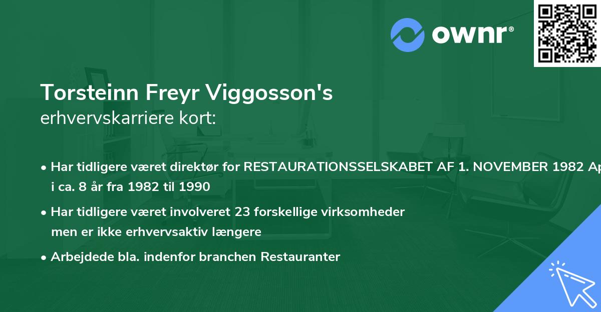 Torsteinn Freyr Viggosson's erhvervskarriere kort