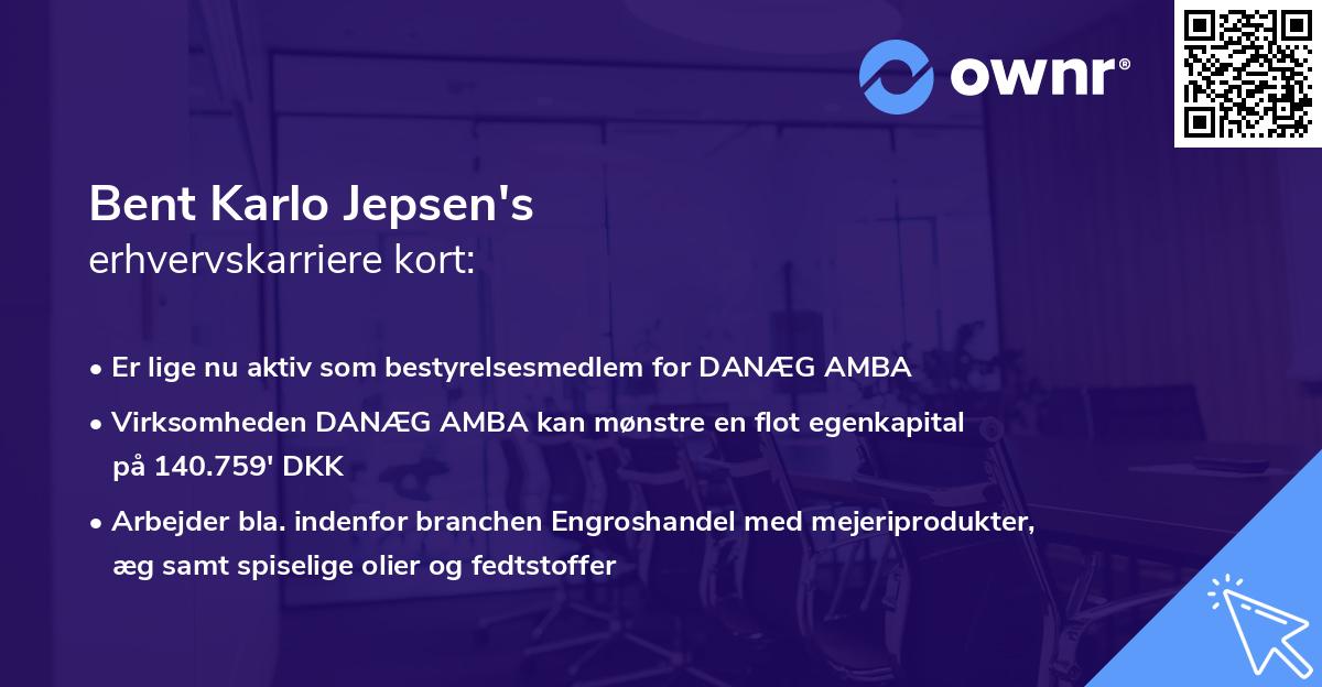 Bent Karlo Jepsen's erhvervskarriere kort
