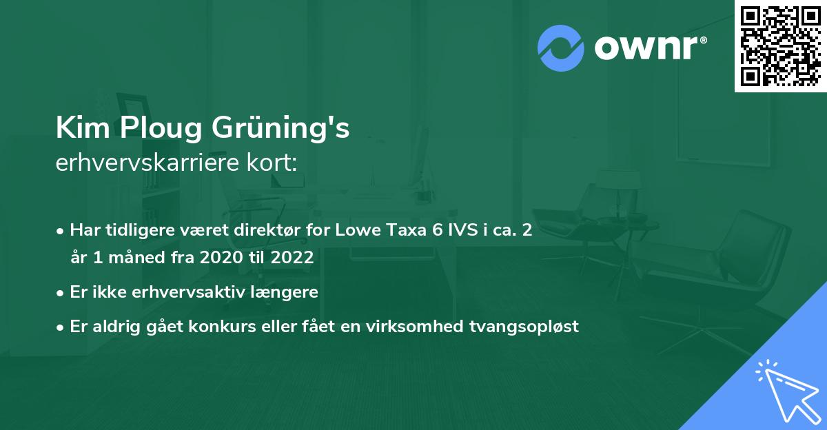 Kim Ploug Grüning's erhvervskarriere kort