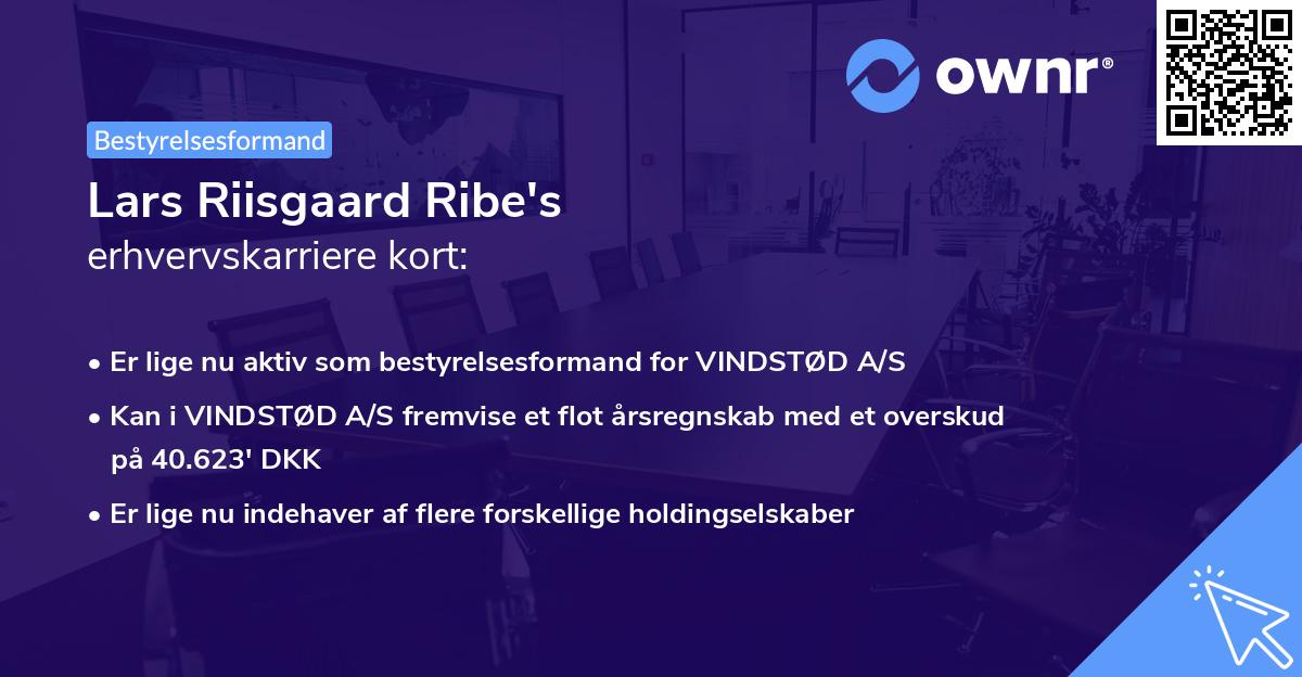 Lars Riisgaard Ribe's erhvervskarriere kort