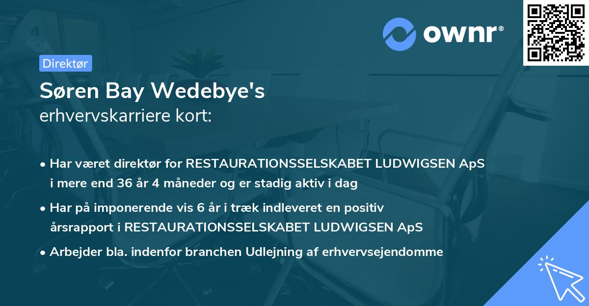 Søren Bay Wedebye's erhvervskarriere kort