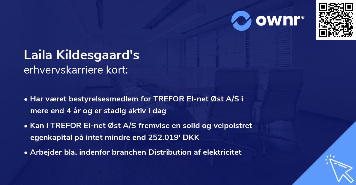 Laila Kildesgaard's erhvervskarriere kort