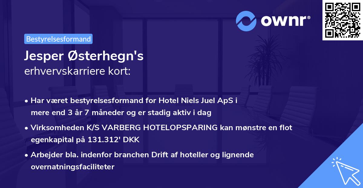 Jesper Østerhegn's erhvervskarriere kort