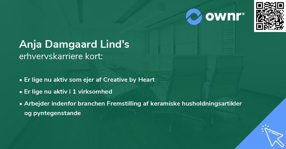 Anja Damgaard Lind's erhvervskarriere kort