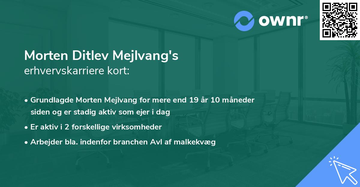 Morten Ditlev Mejlvang's erhvervskarriere kort