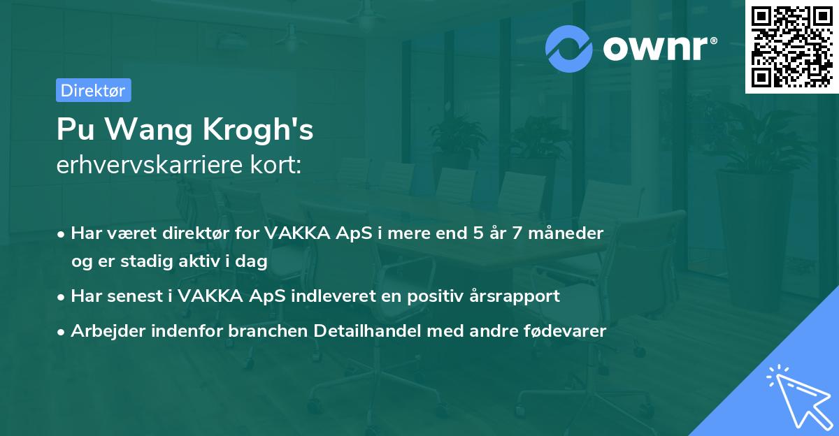 Pu Wang Krogh's erhvervskarriere kort