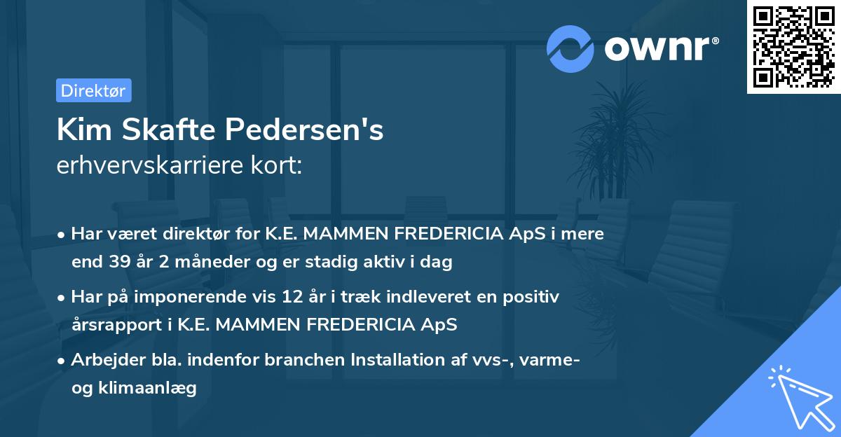 Kim Skafte Pedersen's erhvervskarriere kort